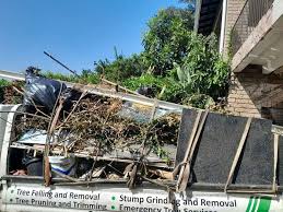 Best Basement Cleanout  in Five Points, NC